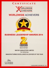 Business Leadership Award 2014
